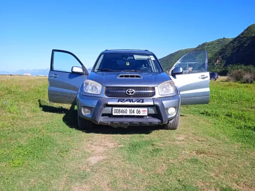 Toyota Land Cruiser 2004 Hilux