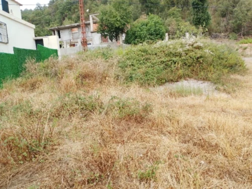 Vente Terrain Tizi Ouzou Yakouren