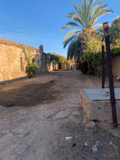 Vente Local Tlemcen Amieur