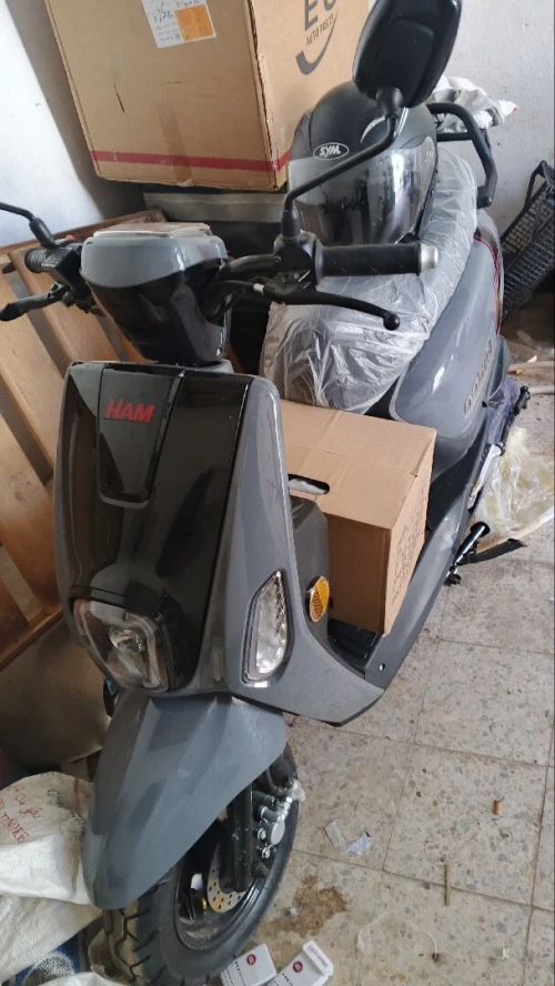 Ham QQ7 2026