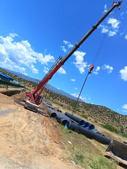 Grue mobile 25ton 2010