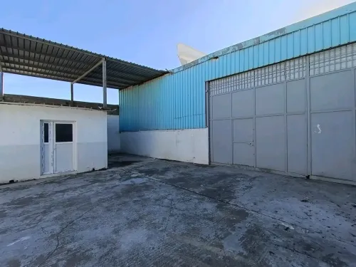 Location Hangar - Usine Blida Blida