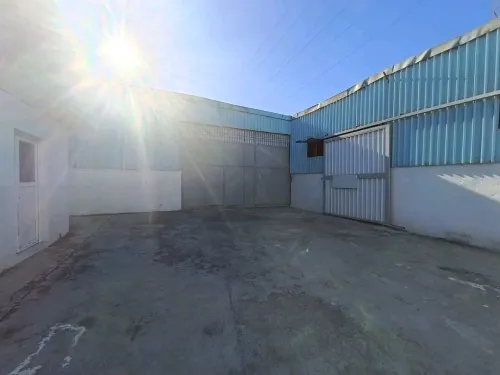 Location Hangar - Usine Blida Blida