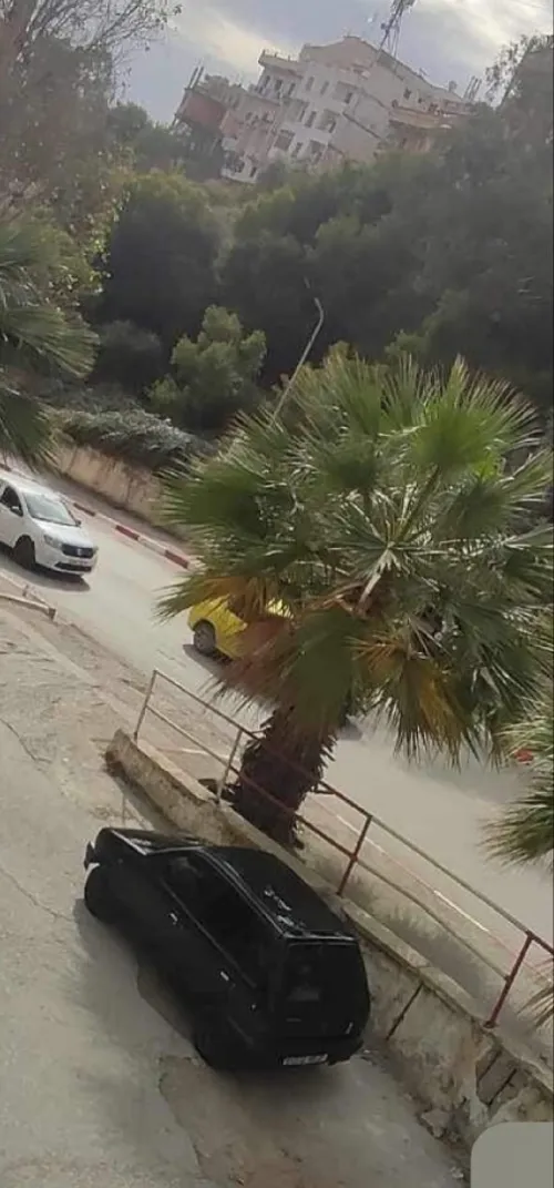 Vente Appartement F3 Skikda Skikda