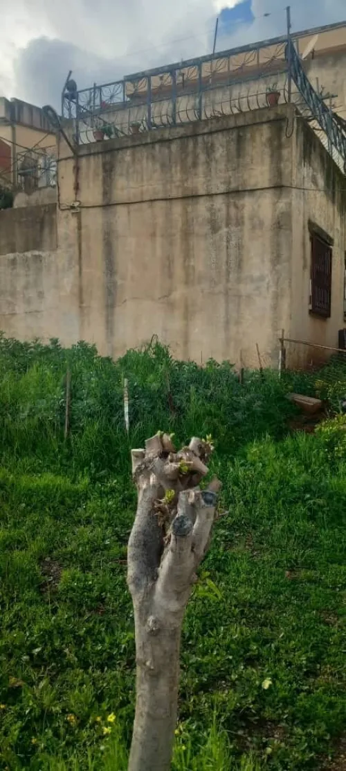 Vente Villa Tizi Ouzou Beni aissi
