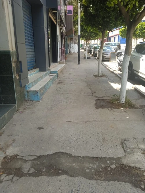 Vente Local Alger Dely brahim