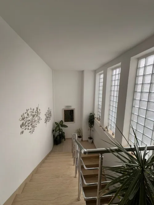 Vente Duplex F7 Alger Cheraga