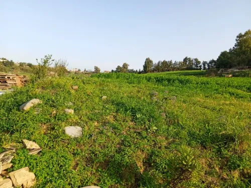 Vente Terrain Alger Souidania