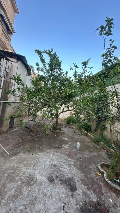 Vente Villa Alger Dely brahim