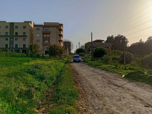Vente Terrain Alger Souidania