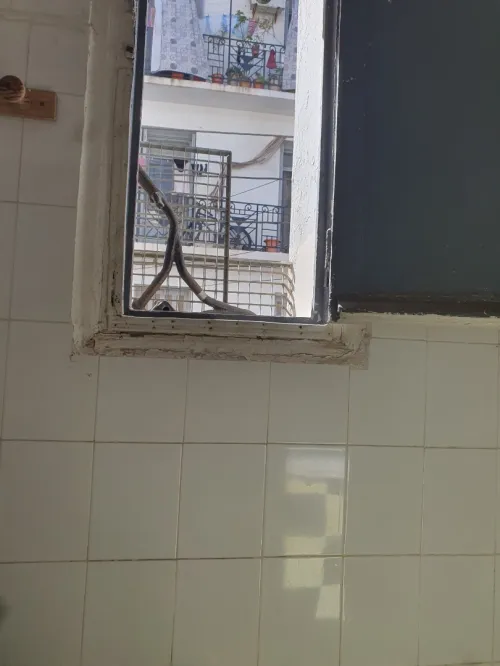 Vente Appartement F3 Alger Alger centre