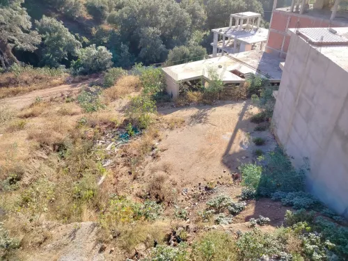 Vente Terrain Alger Bouzareah