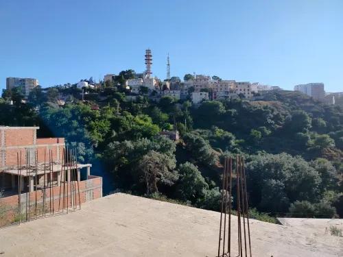 Vente Terrain Alger Bouzareah