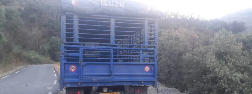 benne camion avec ridelle pour isuzu benne plateau  avec ridelle camion isuzu 2012