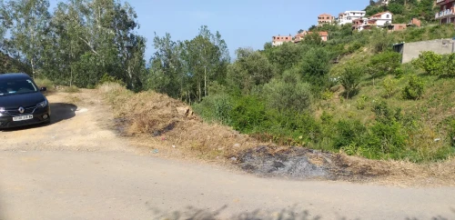 Vente Terrain Béjaïa Tichy