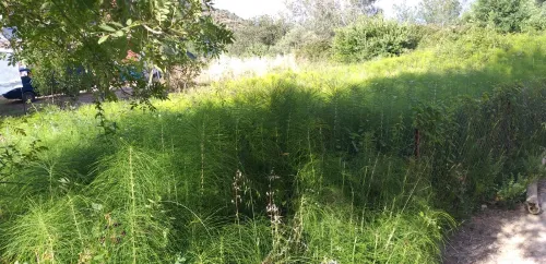 Vente Terrain Béjaïa Tichy
