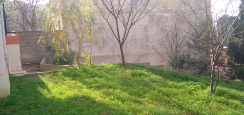 Location Villa Alger Bouzareah