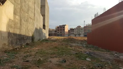 Vente Terrain Tipaza Bou ismail