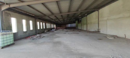 Location Hangar Alger Reghaia