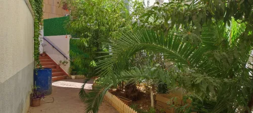 Vente Appartement F4 Alger Cheraga