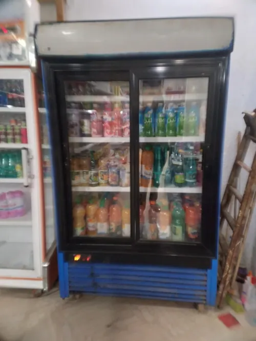 Frigos 