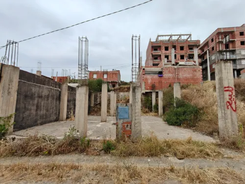 Vente Terrain Boumerdès Ouled moussa