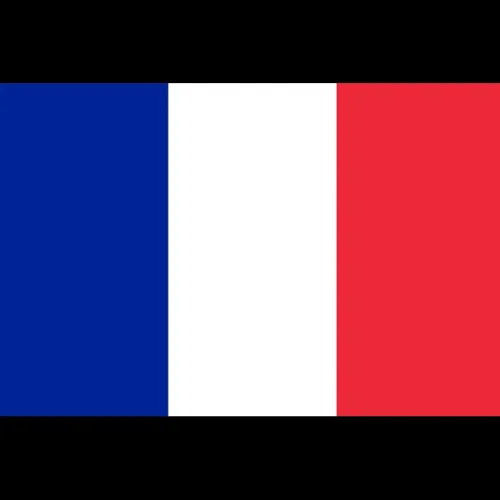 Professeur de français (programme français)