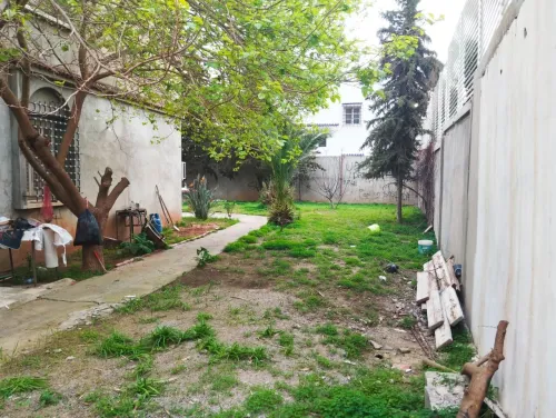 Vente Terrain Alger Cheraga