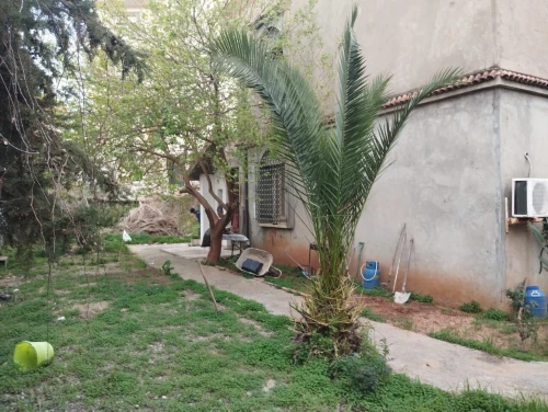 Vente Terrain Alger Cheraga