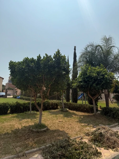 Vente Villa Boumerdès Ouled moussa