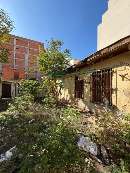 Vente Terrain Alger Bordj el kiffan