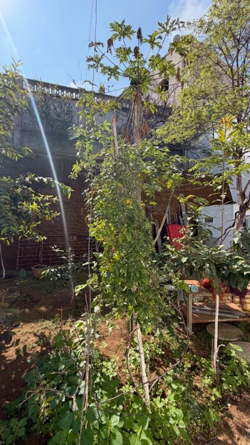 Vente Villa Tipaza Bou haroun