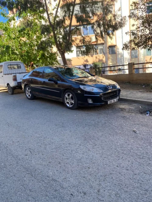 Peugeot 407 2004 407