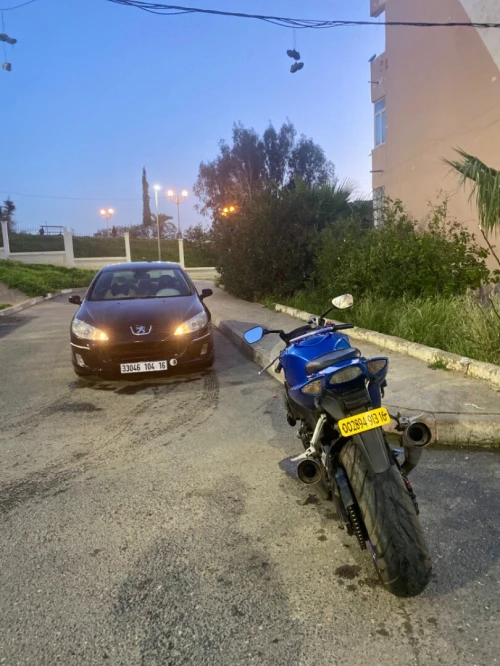 Peugeot 407 2004 407