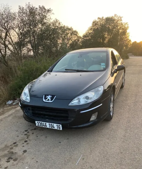 Peugeot 407 2004 407