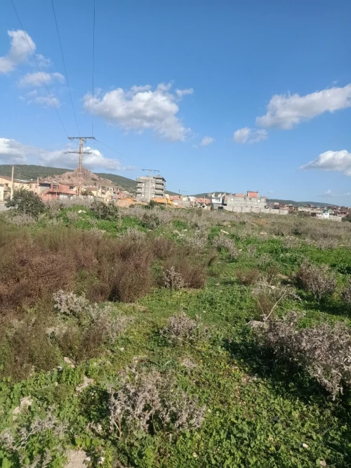 Vente Terrain Annaba Sidi amar