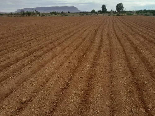 Vente Terrain Agricole Béchar Bechar