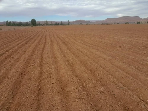 Vente Terrain Agricole Béchar Bechar