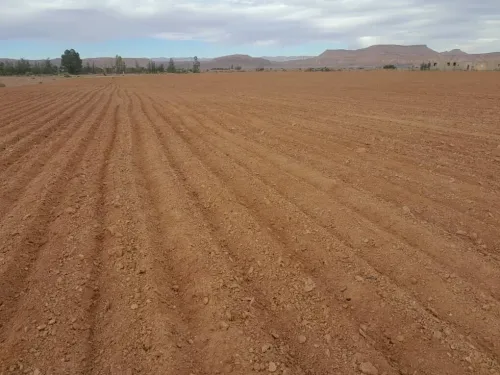 Vente Terrain Agricole Béchar Bechar