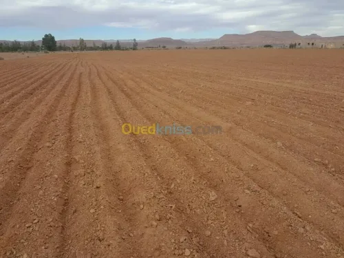 Vente Terrain Béchar Bechar