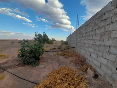 Vente Terrain Agricole Béchar Bechar