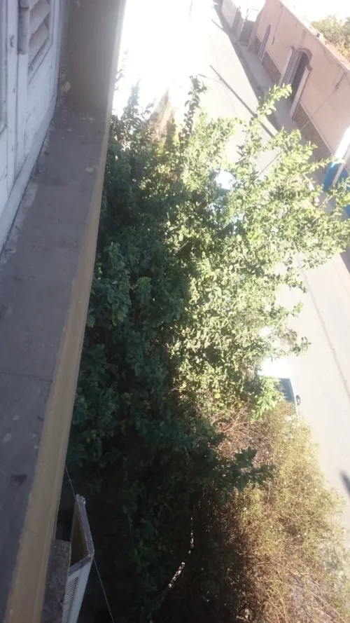 Vente Villa Oran Oran