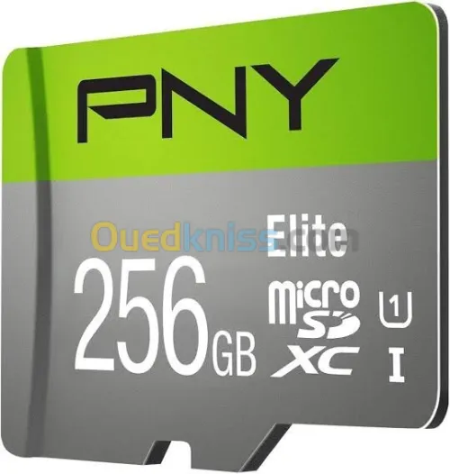 PNY Elite 256GO