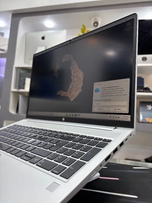HP PROBOOK 455 G10
