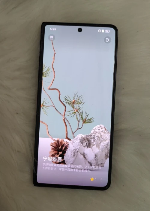 Honor Magic v5