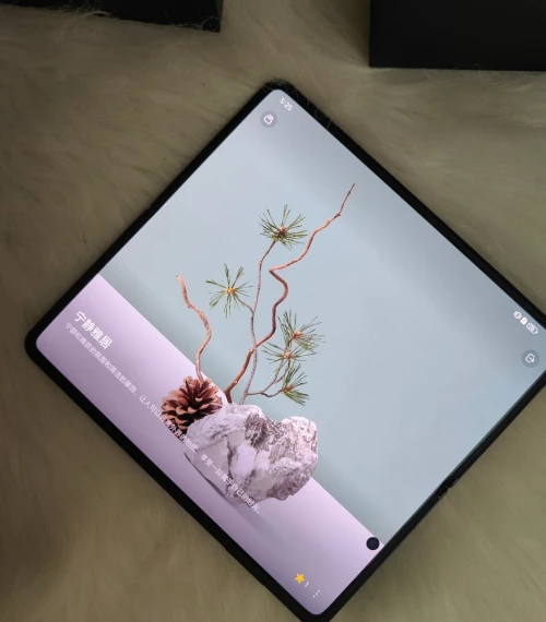 Honor Magic v5