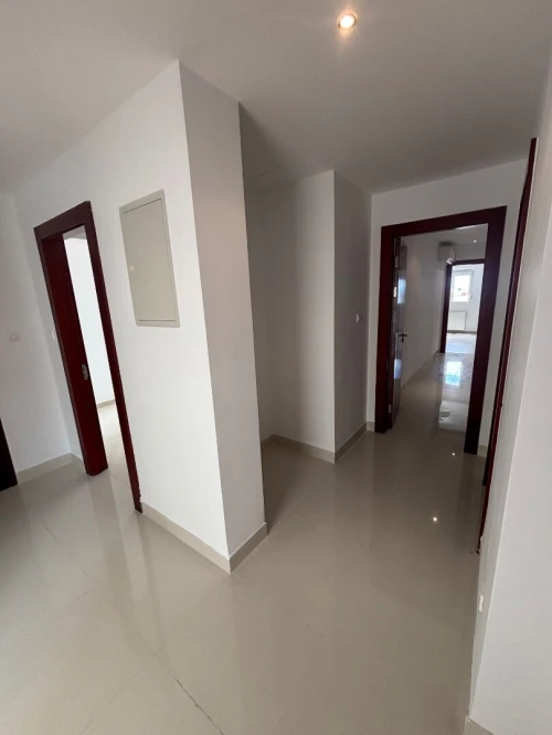 Location Appartement F4 Alger Cheraga