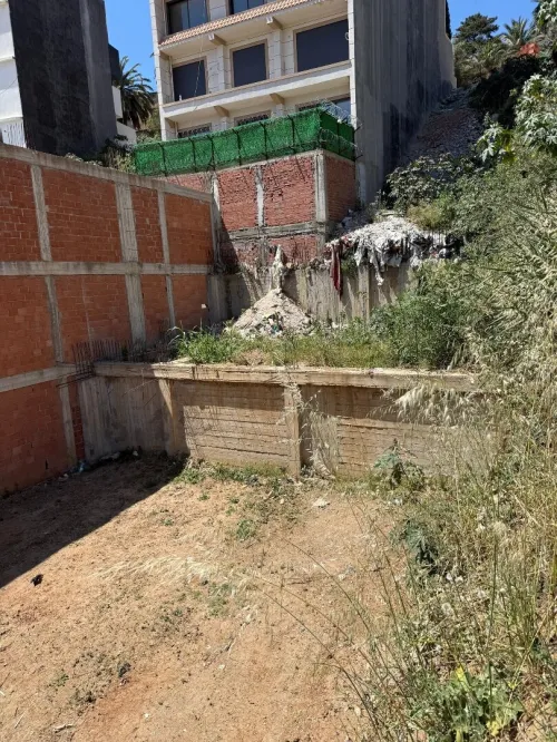 Vente Terrain Alger Bouzareah