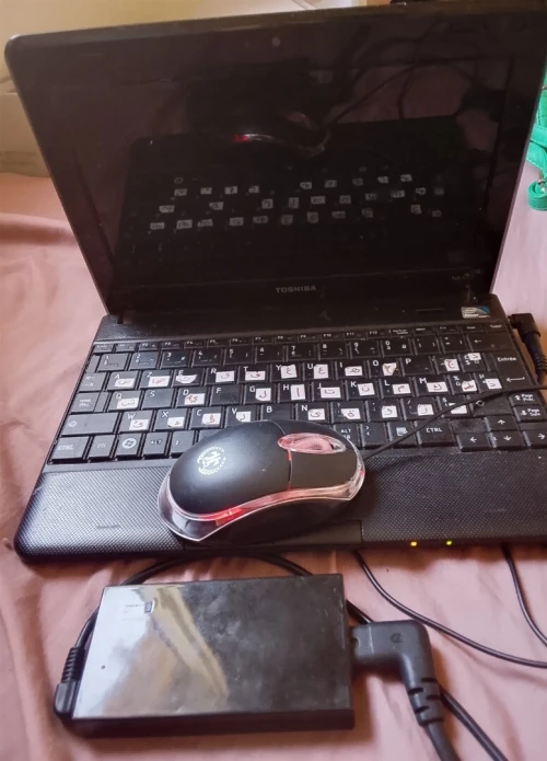 تلمسان