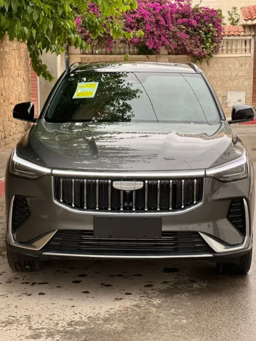 Geely Cityray  2026 